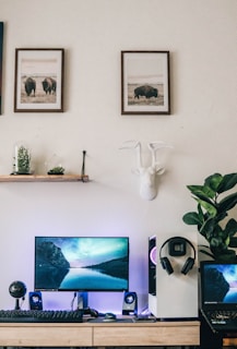 A modern home office setup featuring a large monitor displaying a serene lake and mountain scene. A sleek white desktop computer with RGB lighting is accompanied by a keyboard, mouse, and speakers. Headphones hang on the side of the desktop tower. The desk is minimalistic with a microphone and a small plant as decor. Above the desk, two framed art pieces with images of bison hang on the wall, alongside a white decorative wall-mounted sculpture resembling antlers. A potted plant stands to the side, adding a touch of greenery to the space.