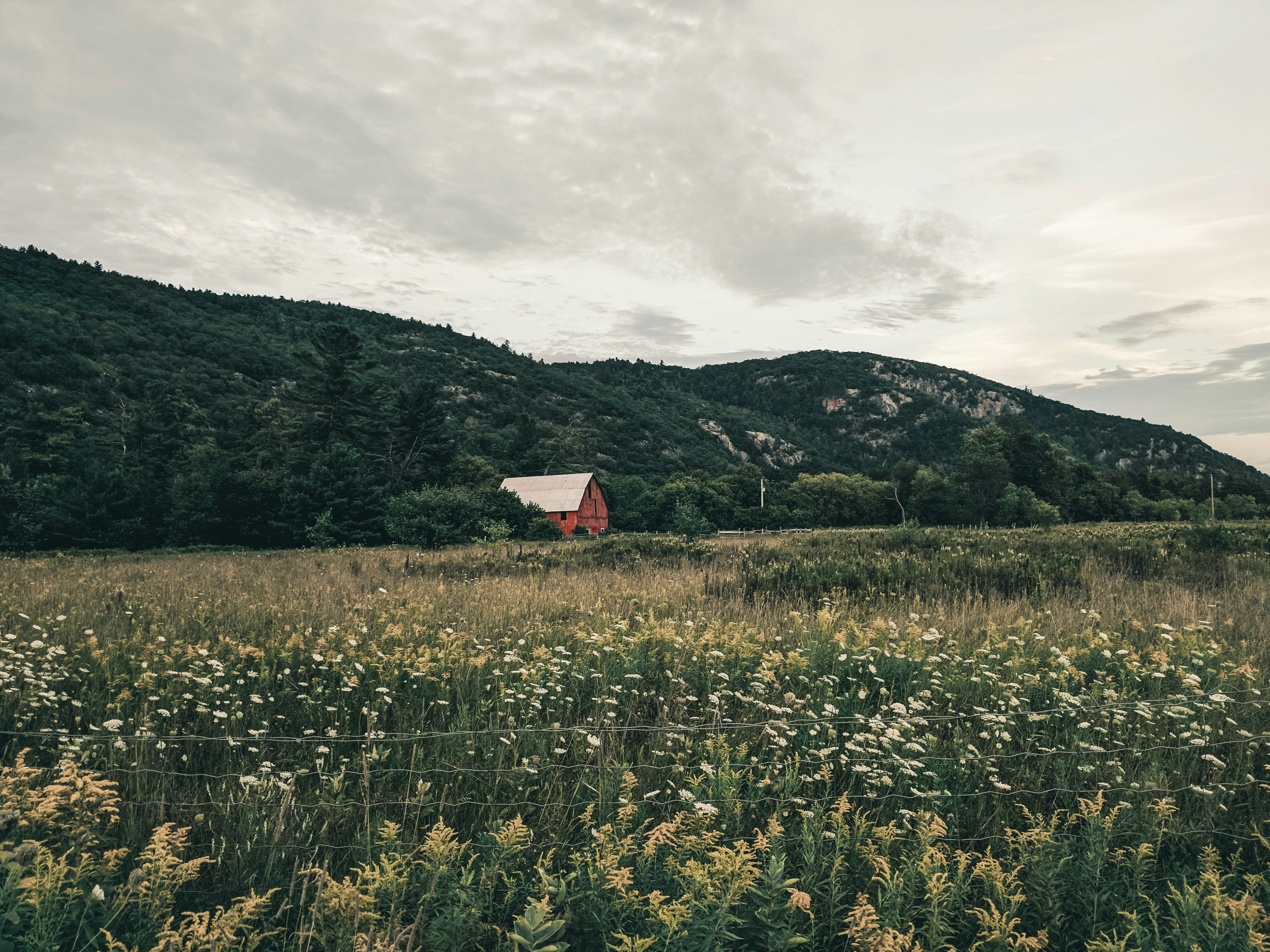 Photo by lureofadventure