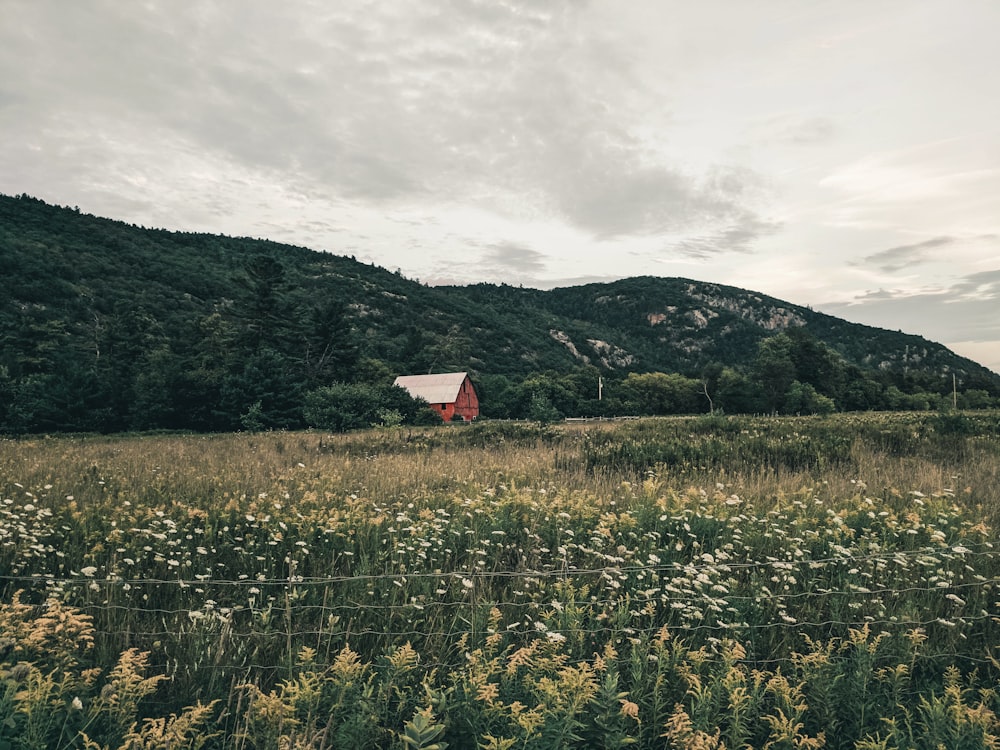 red and white barn on green grass field under cloudy sky during daytime