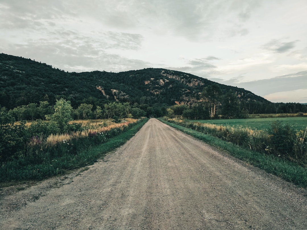 gray dirt road between green grass field during daytime