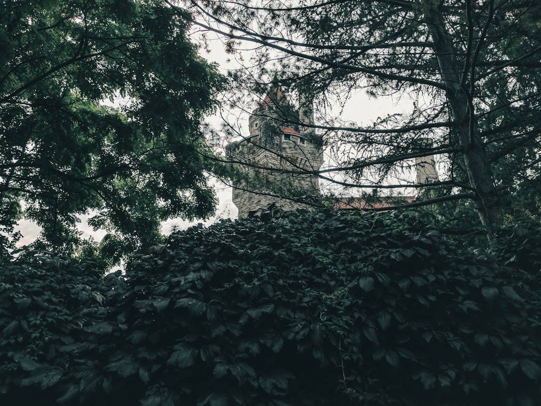 Forest photo spot Casa Loma St. Catharines