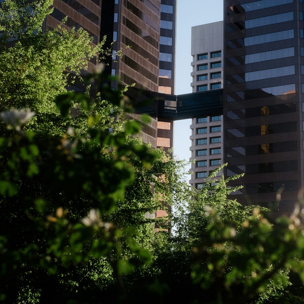 green trees near high rise building during daytime