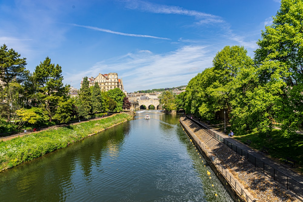 river between green trees under blue sky during daytime