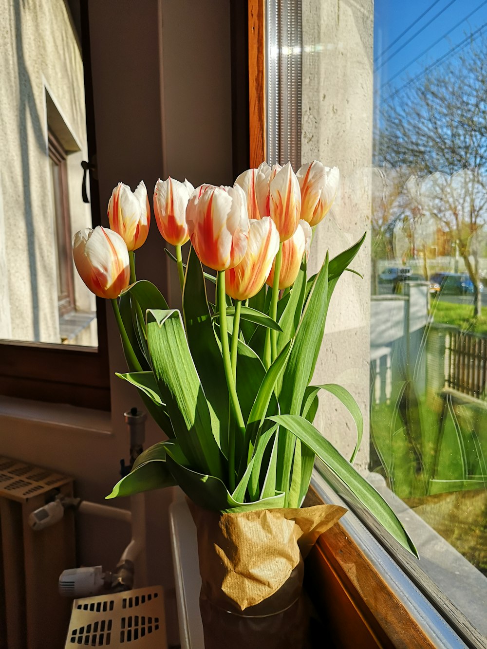 pink tulips in brown basket