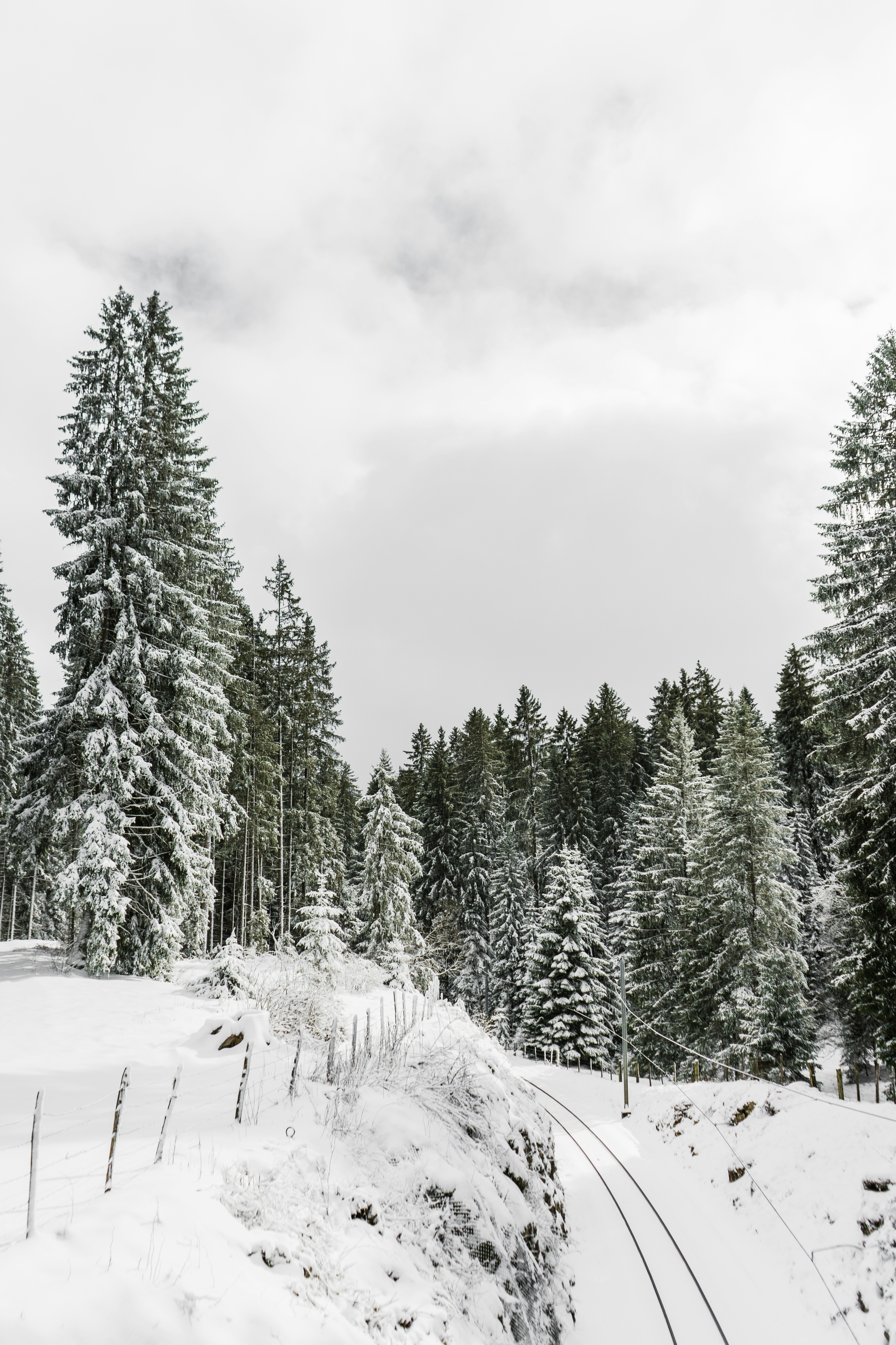 Photo by virussinside