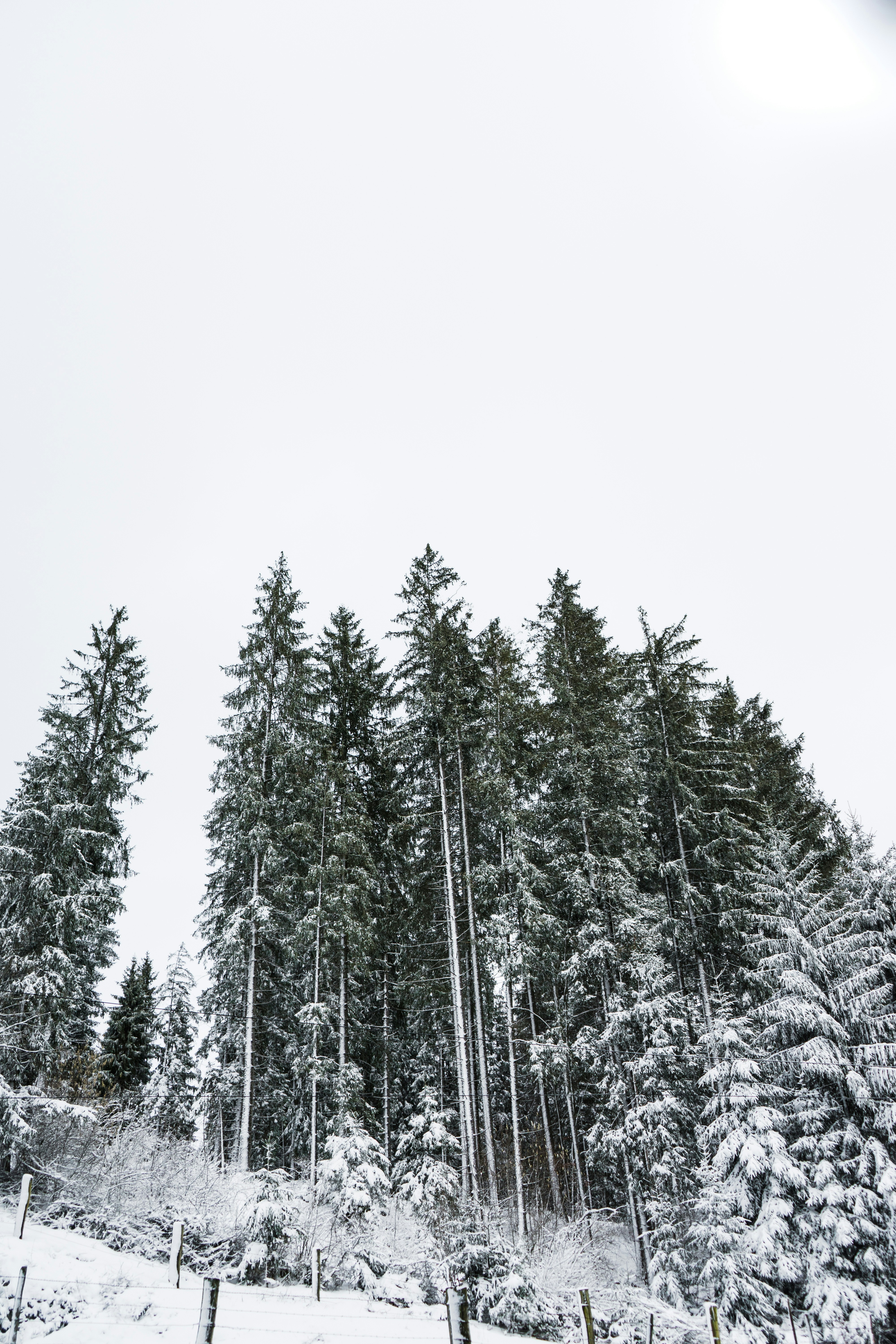 Photo by virussinside