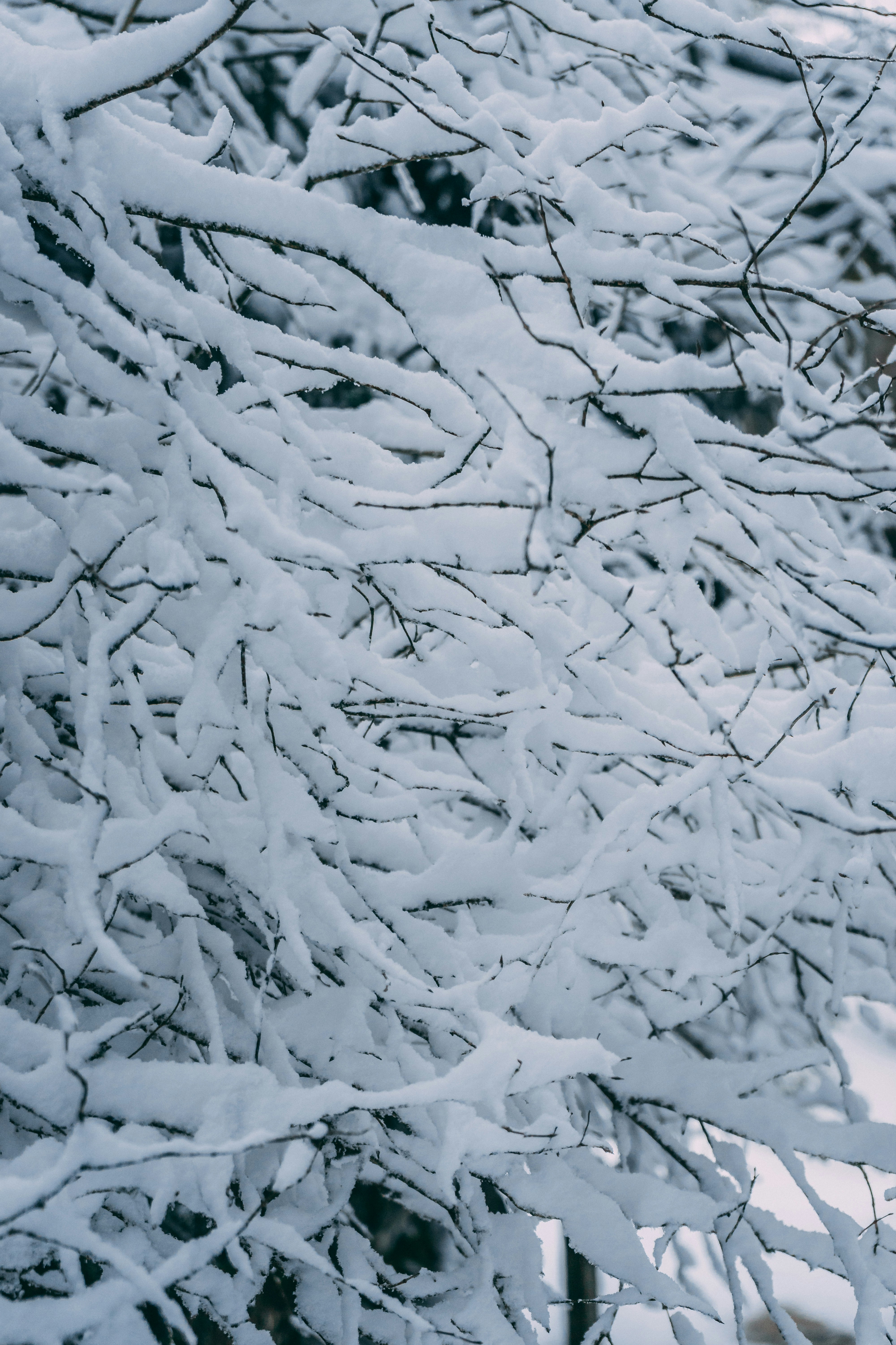 Photo by virussinside