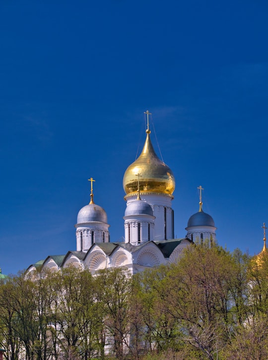 white and gold dome building under blue sky during daytime in Ivan the Great Bell Tower Russia