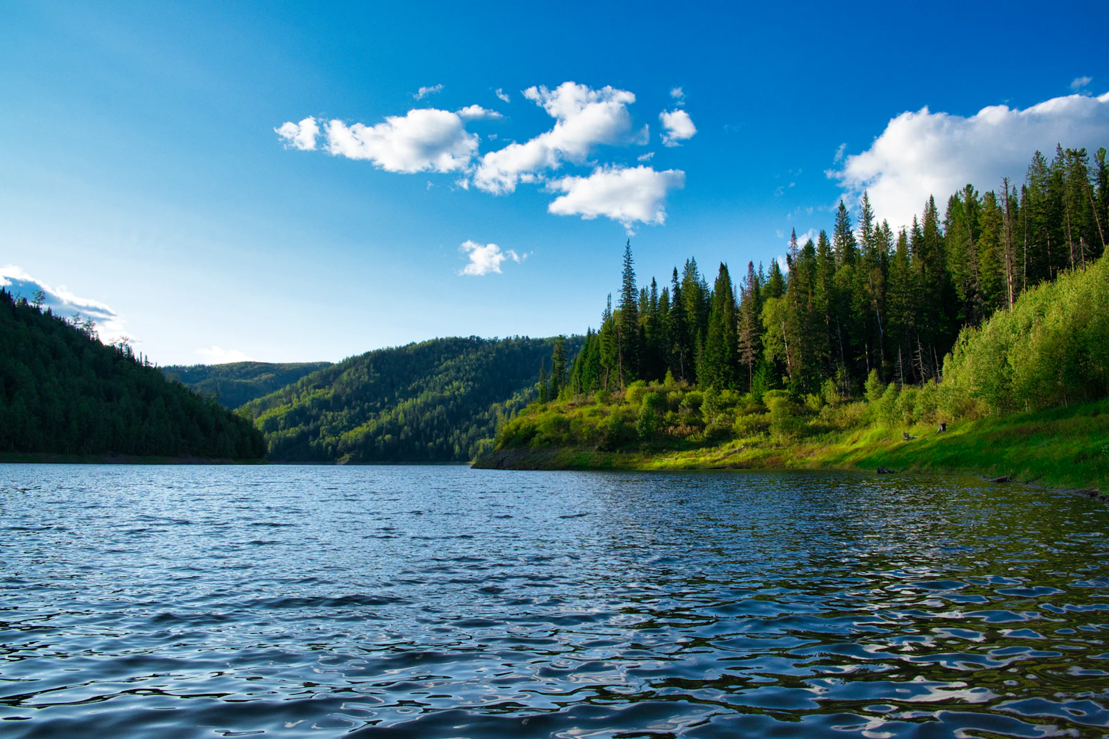 The Yenisei below forested hills — Krasnoyarsk, Russia