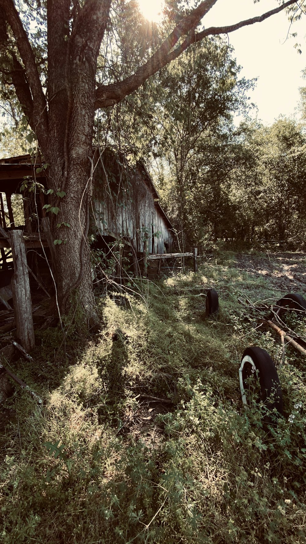 brown wooden house near trees during daytime