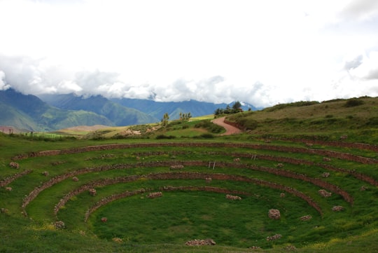 green grass field under white sky during daytime in Cusco Peru