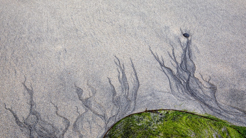 a rock sitting on top of a sandy beach