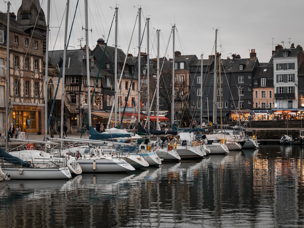 white and blue boats on dock during daytime