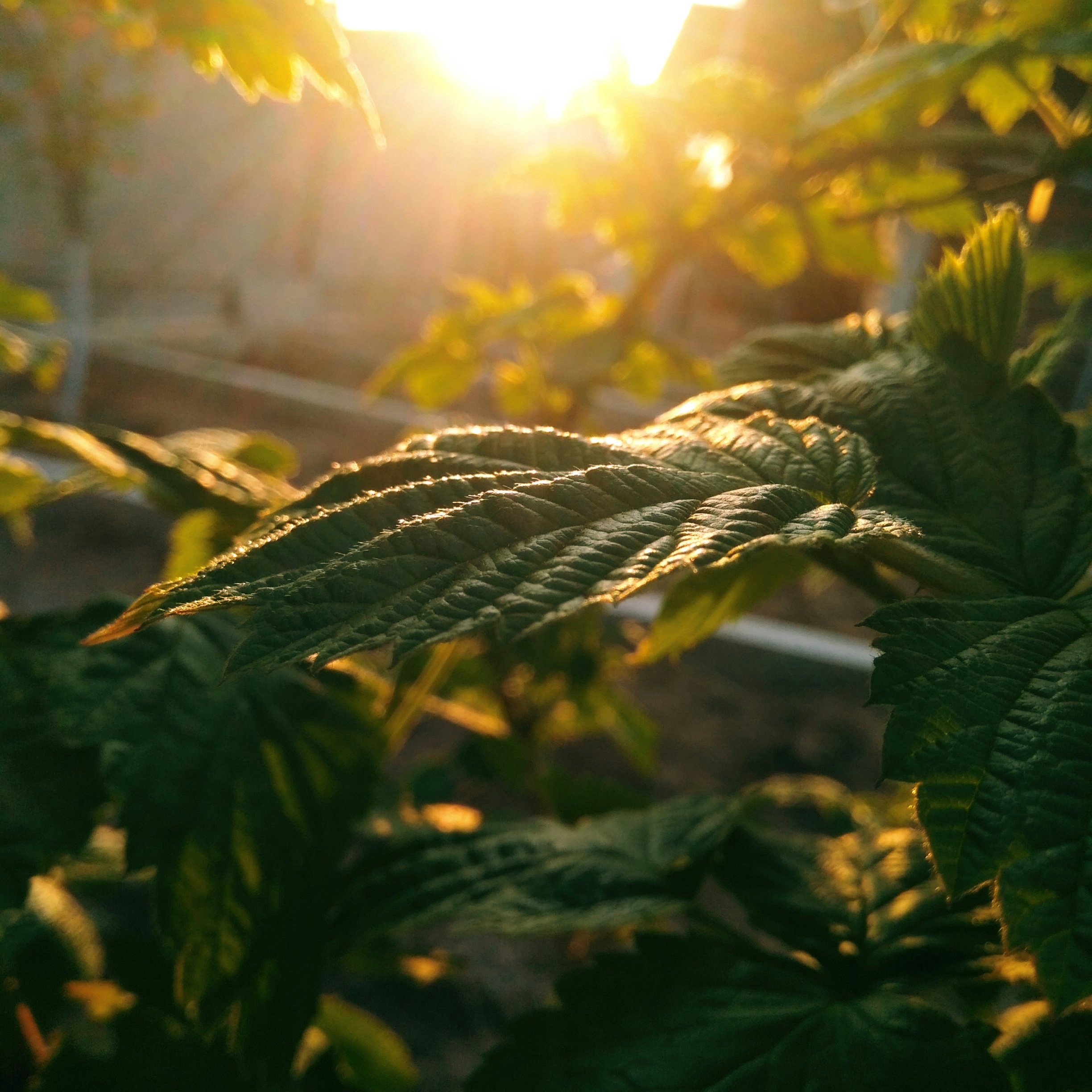 Photo by beketova_elina