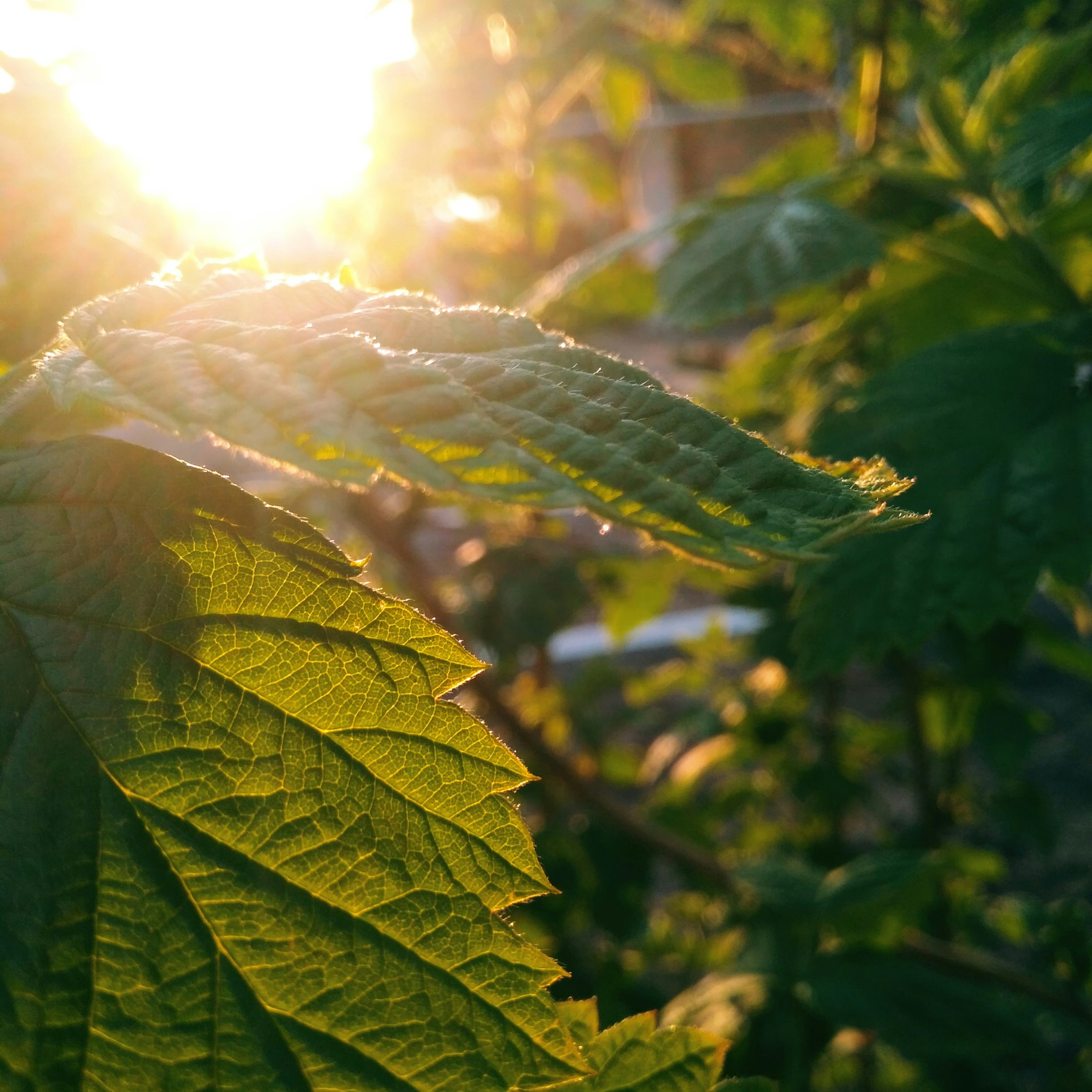 Photo by beketova_elina