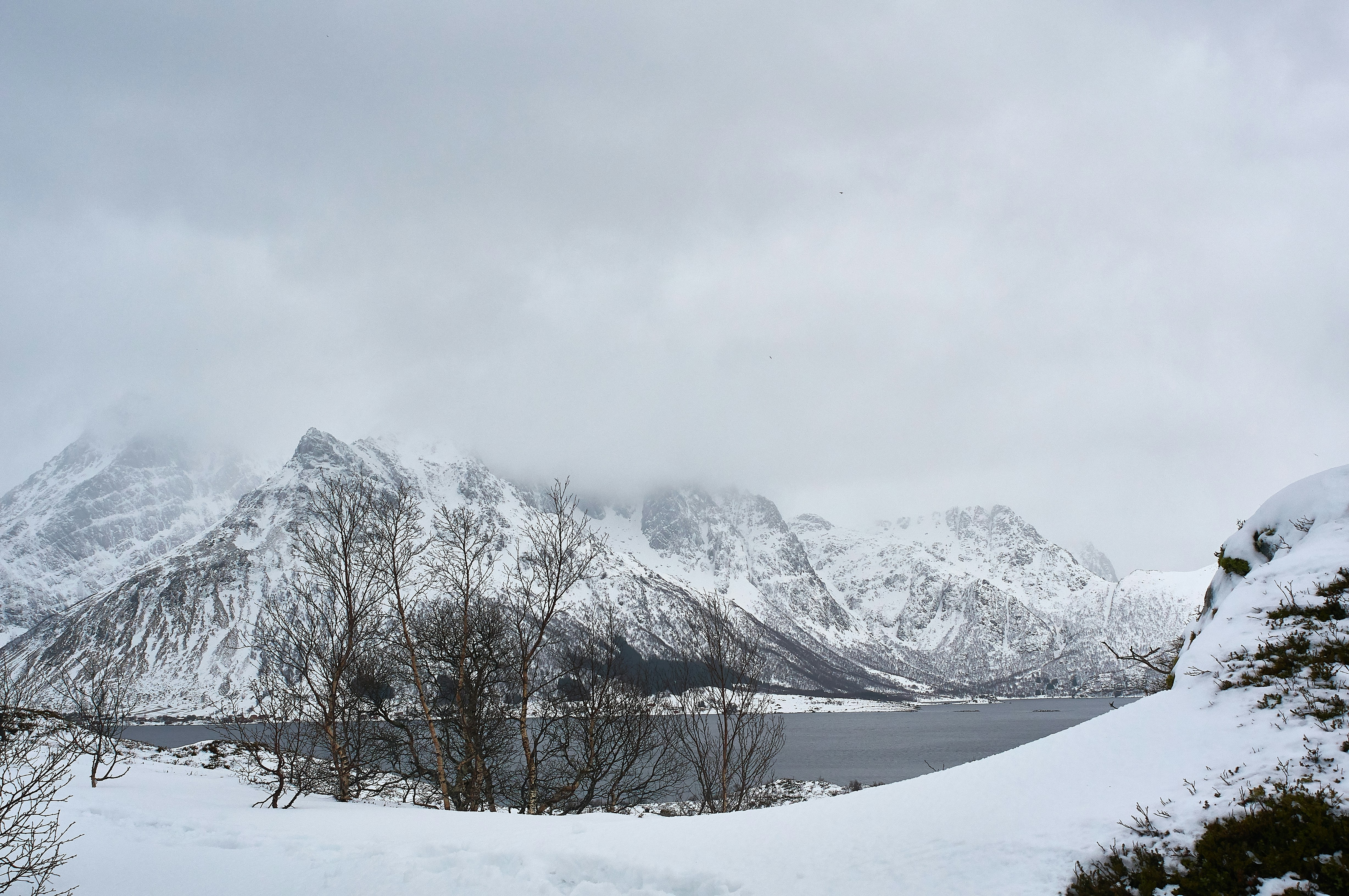 Photo by wolfgang_hasselmann