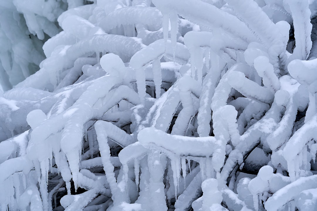 white ice on tree branch