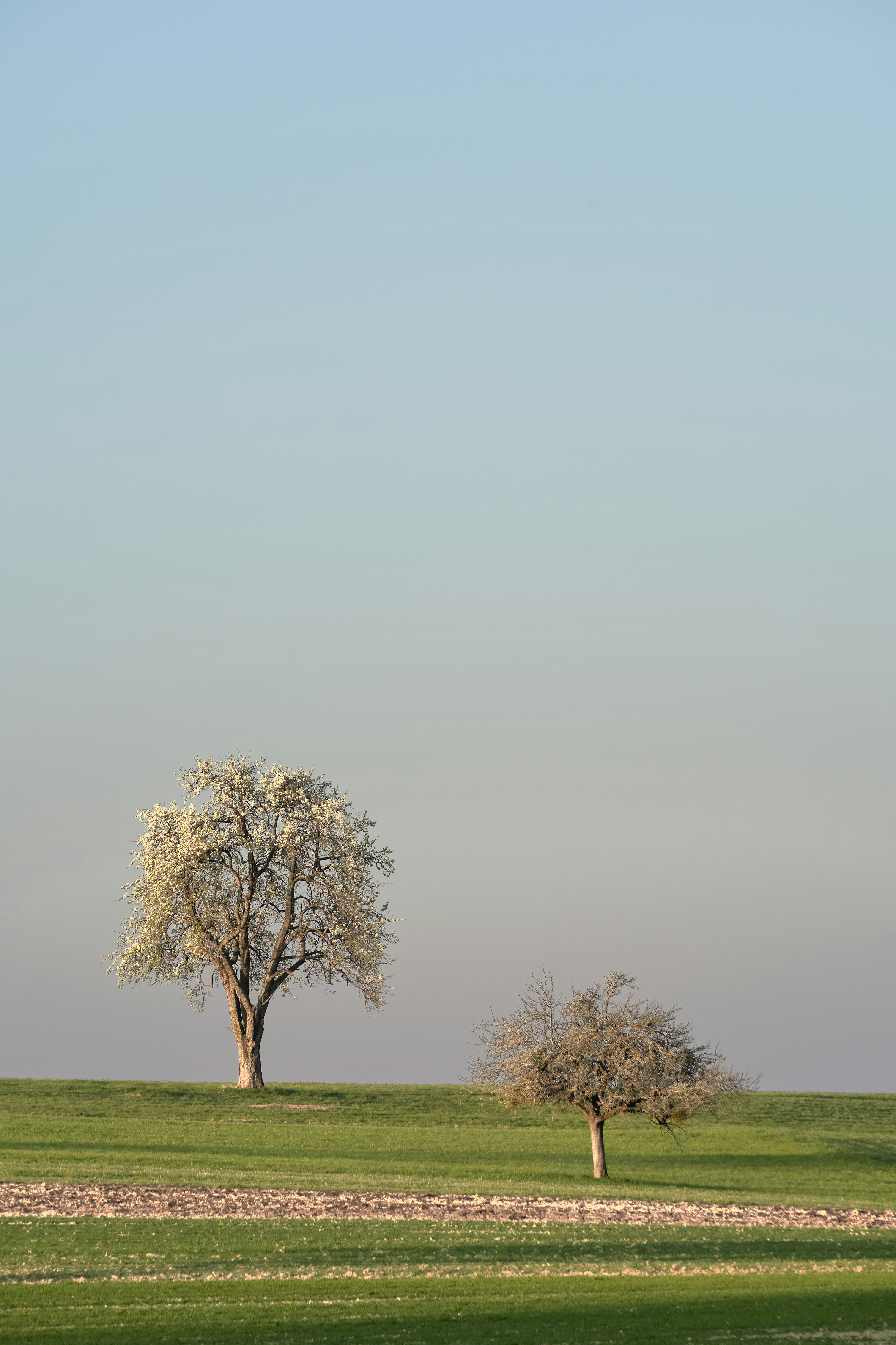 Photo by wolfgang_hasselmann