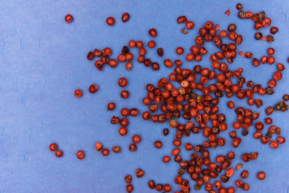brown round fruits on blue surface