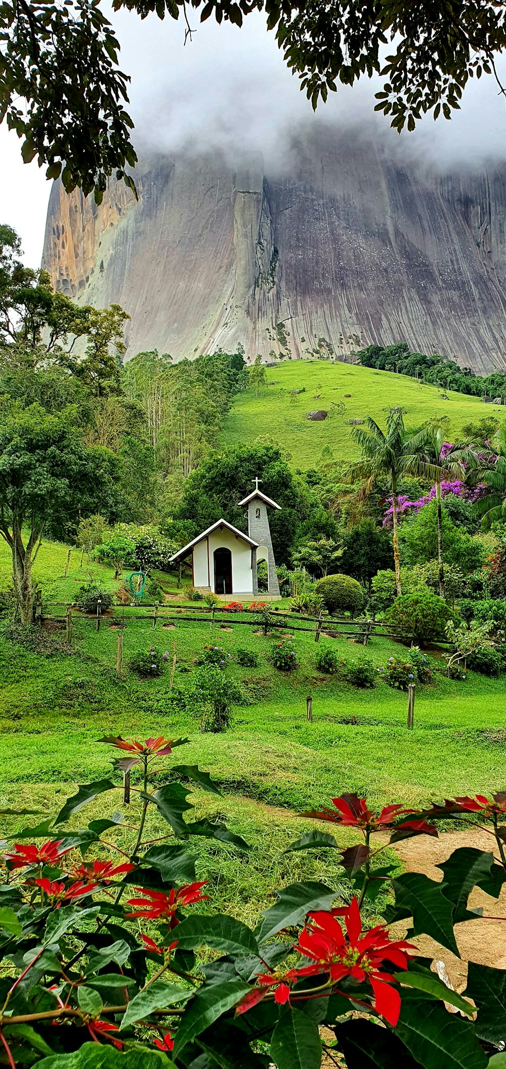 white and green house near green grass field and mountain