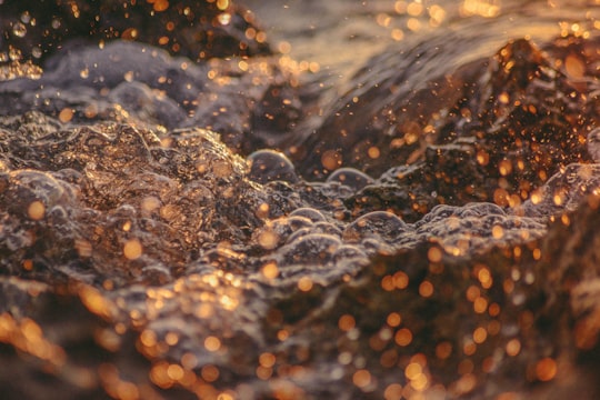 brown and black stones in water in Maldive Islands Maldives