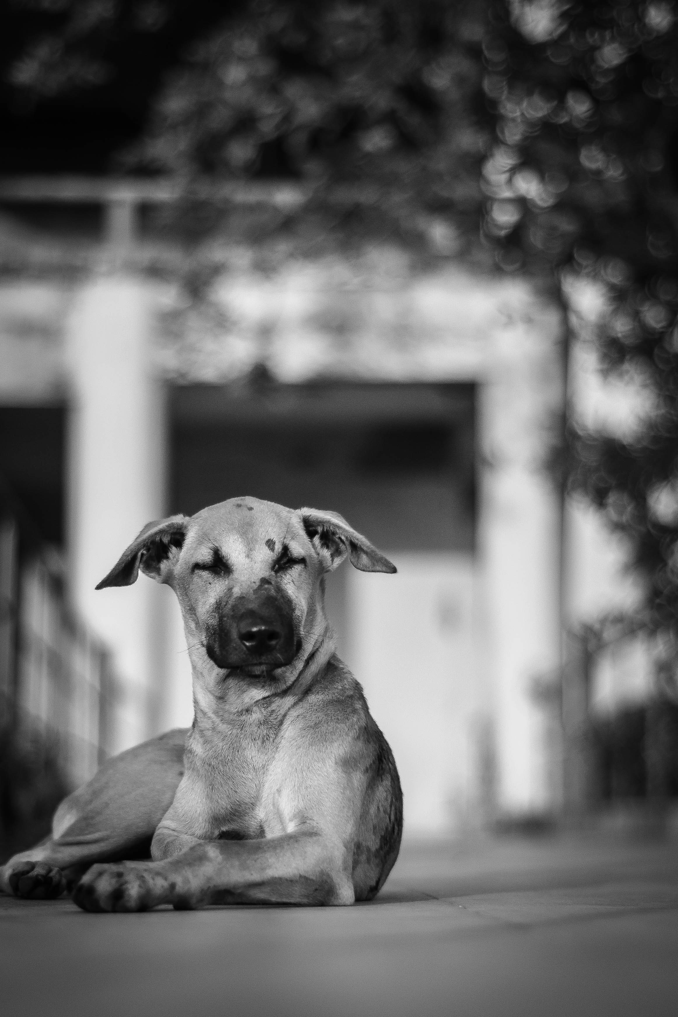 Photo by itsmanoharmanu