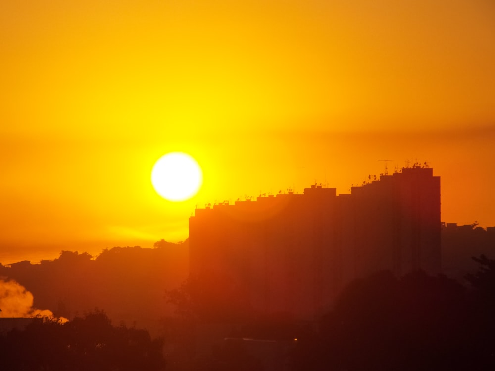 silhouette of trees during sunset