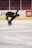 A young figure skater practicing on an ice rink, showcasing a graceful spin.