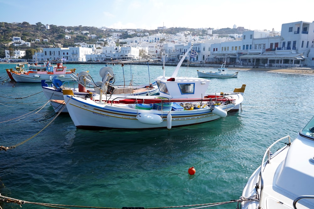 white and blue boat on water during daytime