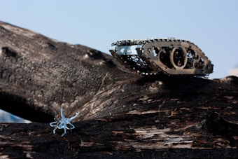 A metallic, insect-like robot and a caterpillar track structure are positioned on a rugged, dark wooden surface. The metallic structures have a shiny, silver appearance and are intricately detailed. The background is a clear blue sky.