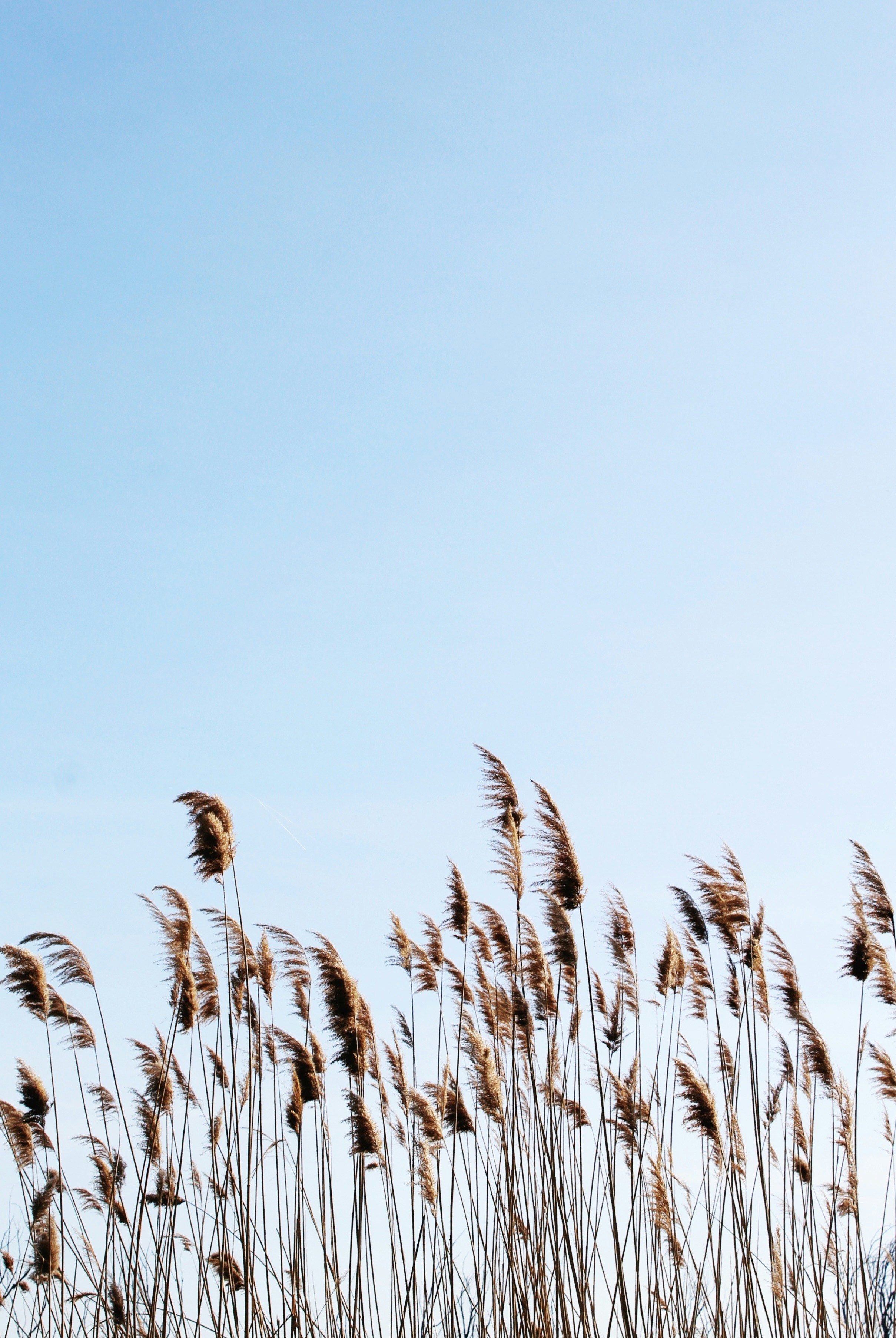 Photo by evgeniasterg