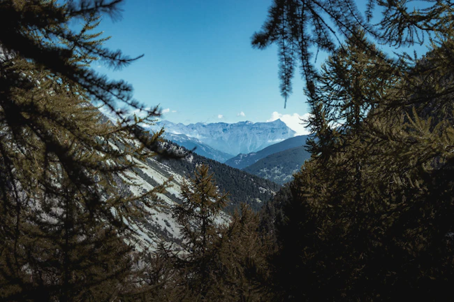 Scenic view of the Andes mountains with clear blue skies