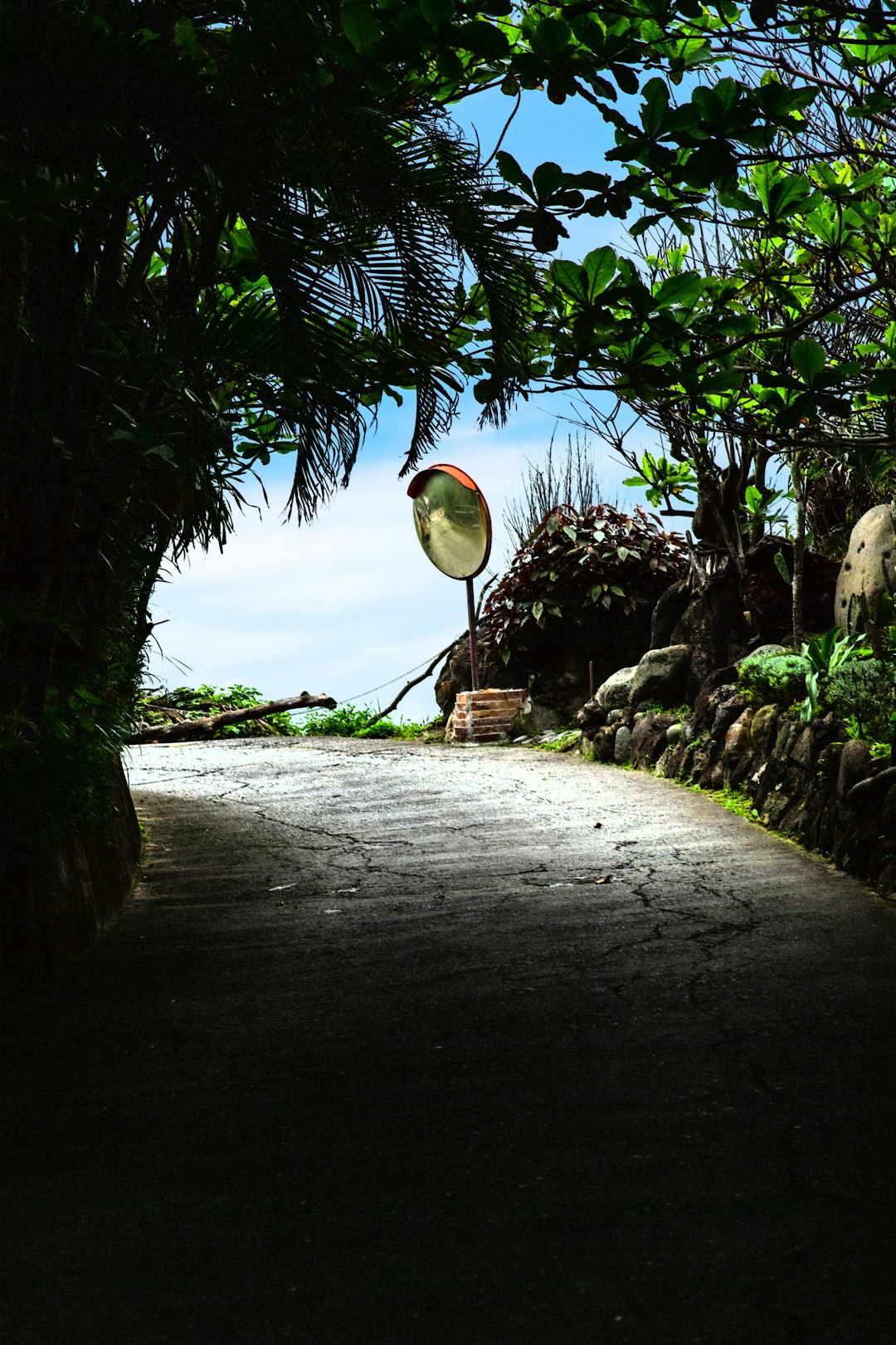 photo of Hualien Tropics near Hehuanshan