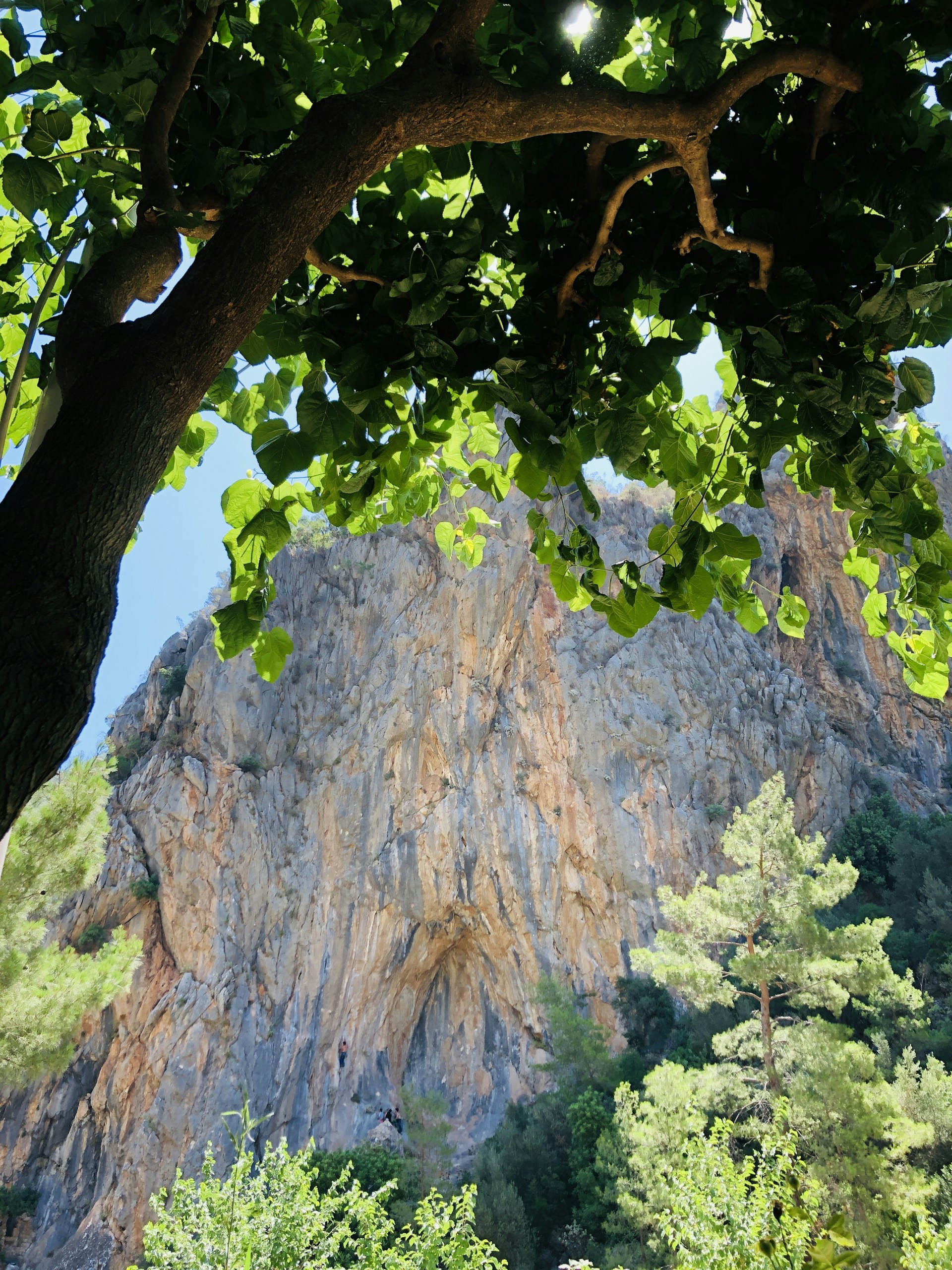 woman wearing yellow long-sleeved dress under white clouds and blue sky during daytime