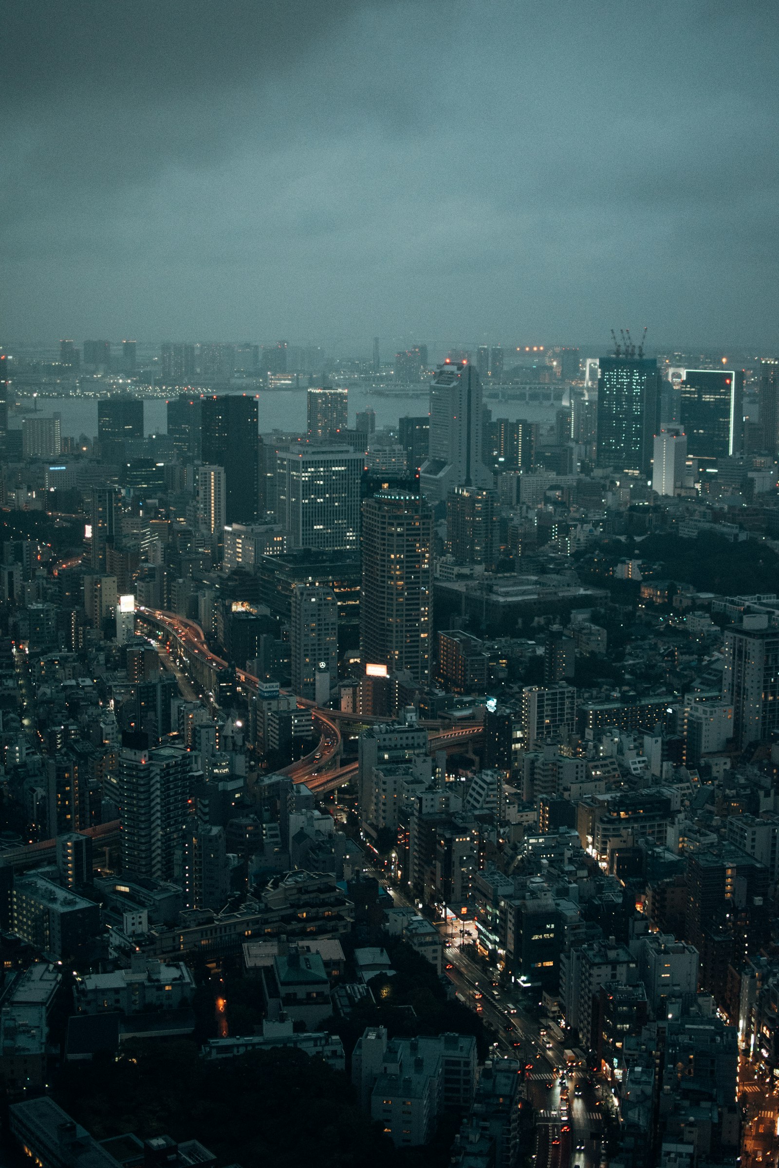 Nikon D5600 + Nikon AF-S DX Nikkor 35mm F1.8G sample photo. Aerial view of city photography