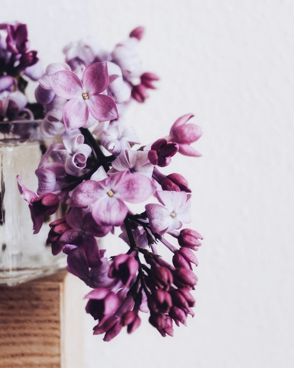 pink flowers in clear glass vase