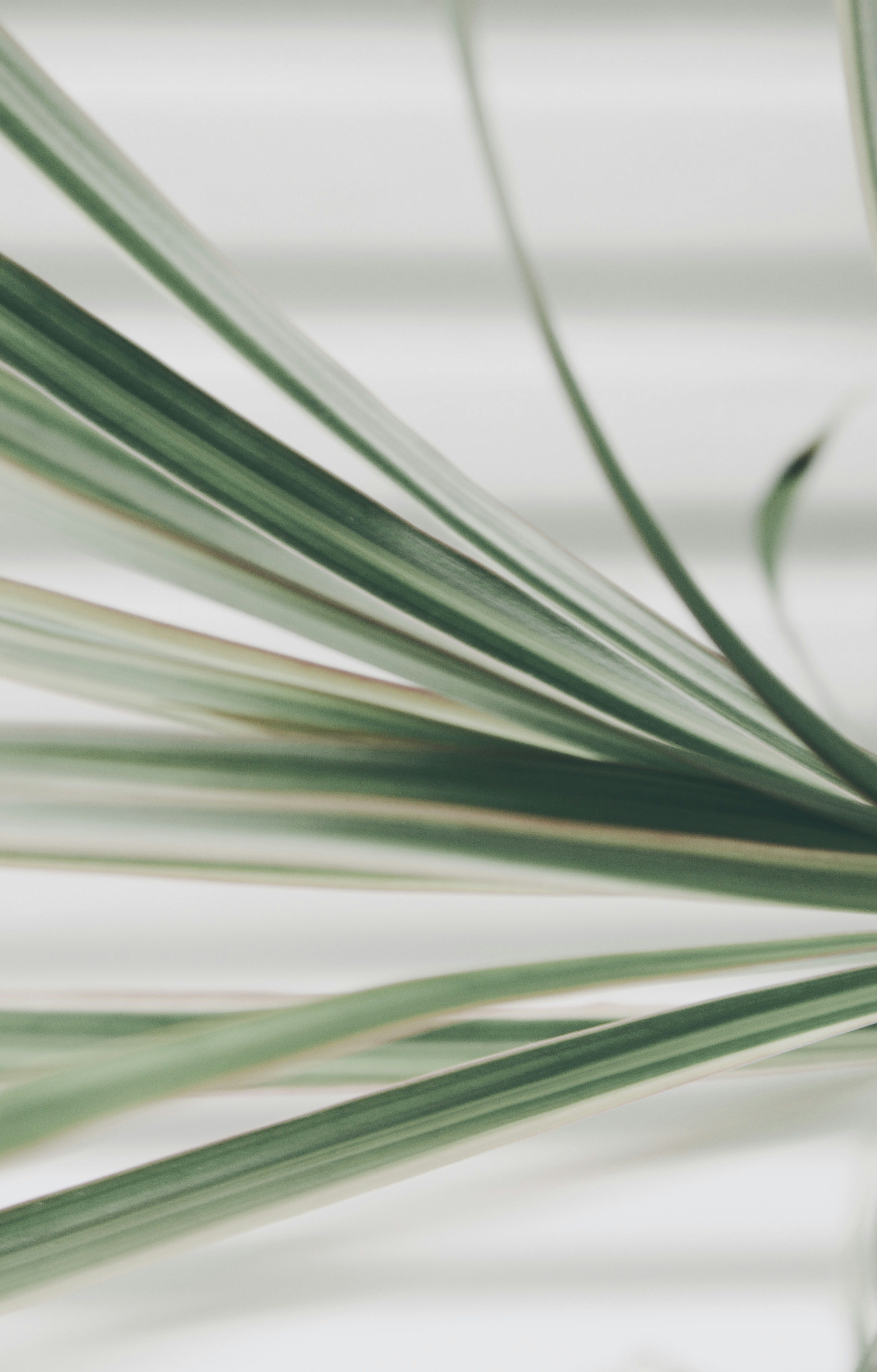 Photo by evgeniasterg