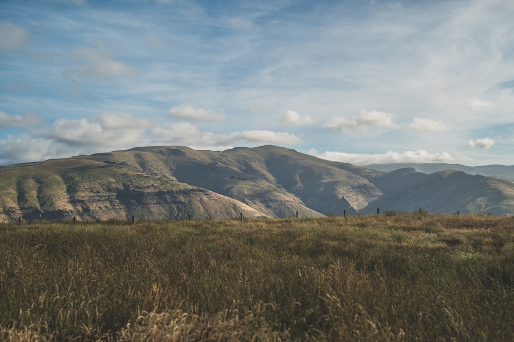 brown grass field near mountain under white clouds during daytime