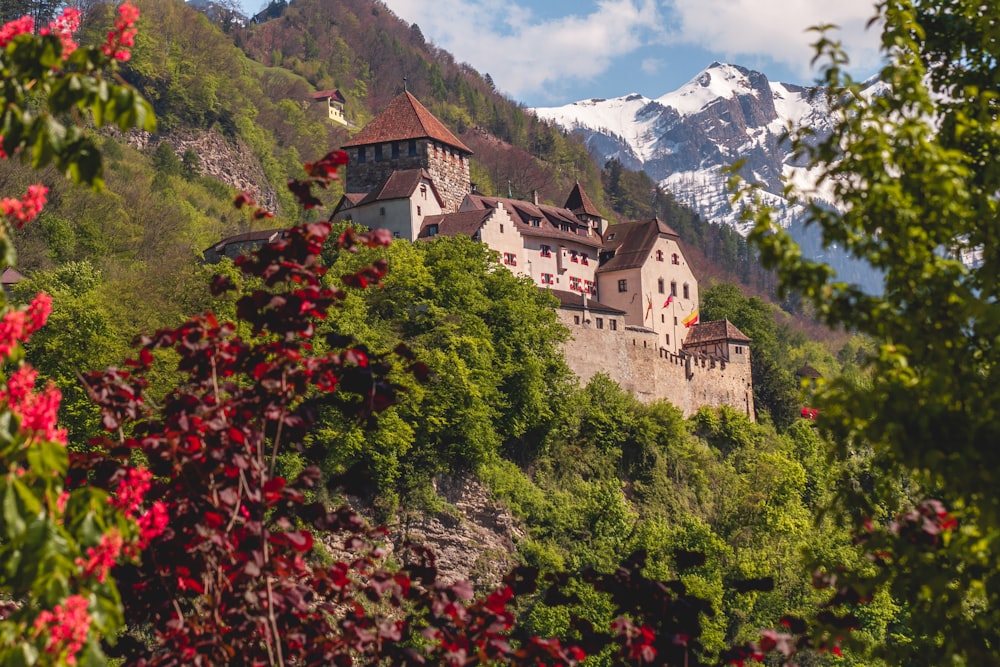 white and brown concrete building on mountain