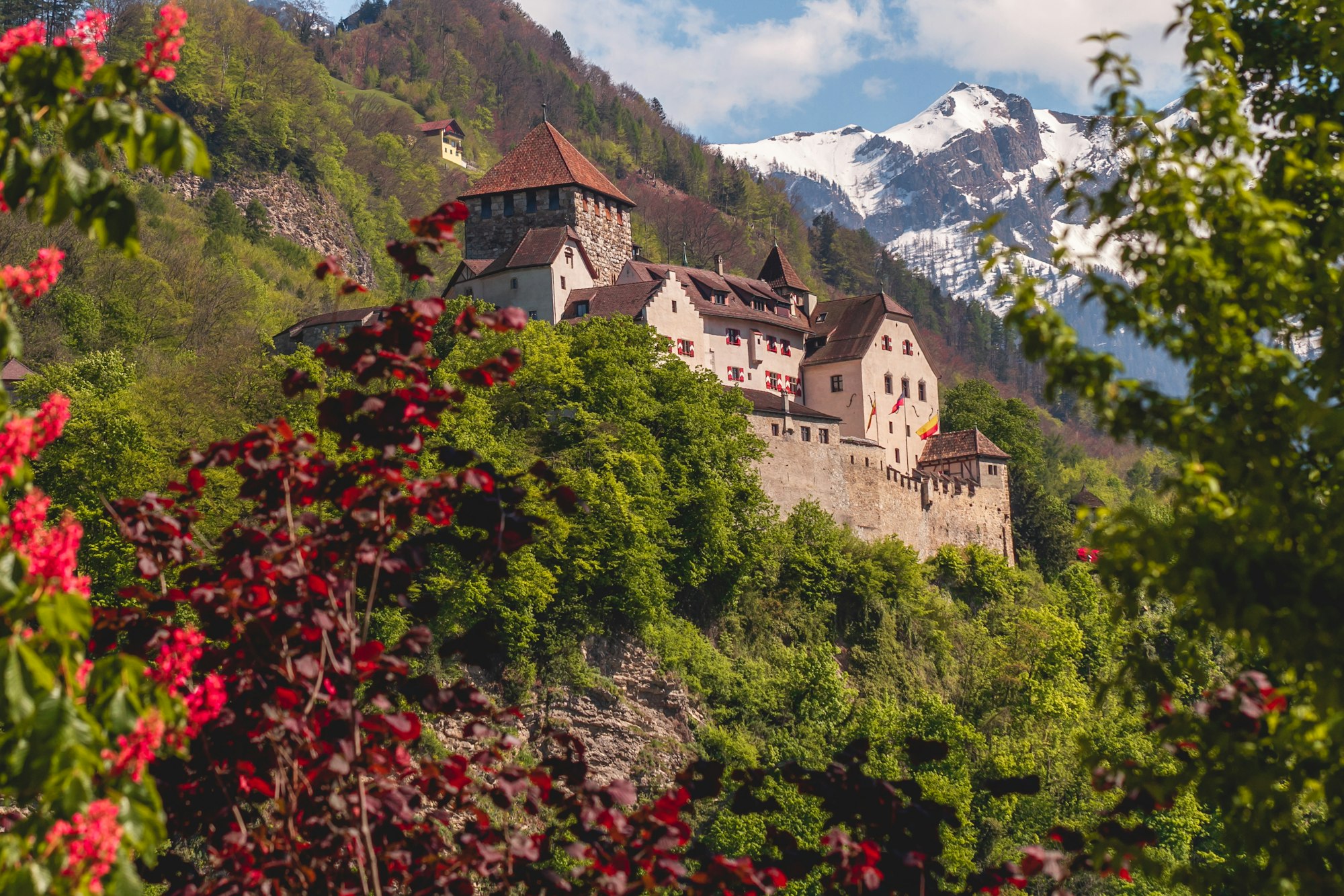 Schloss von Vaduz mit Bergen im Hintergrund