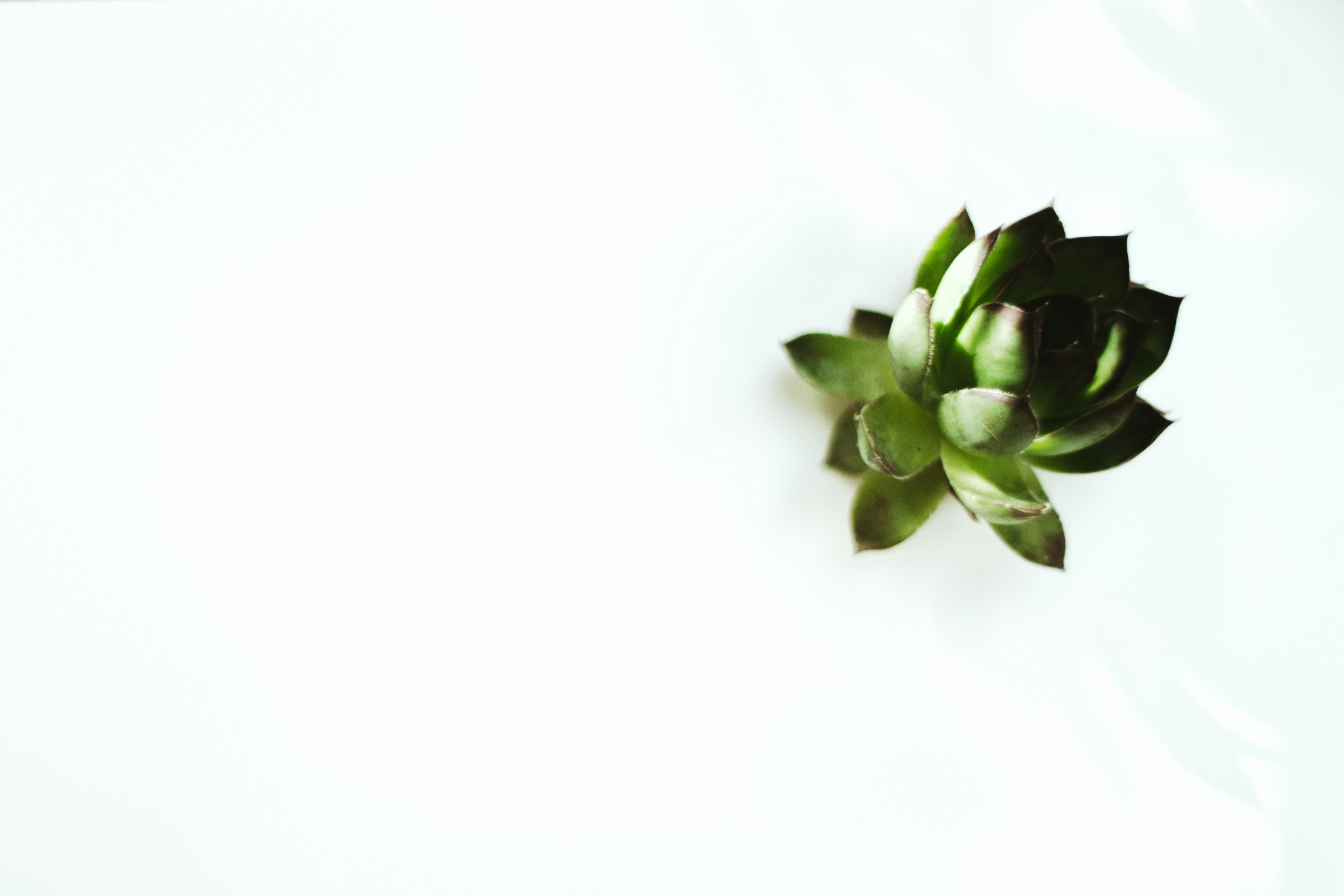 Photo by studiostarling