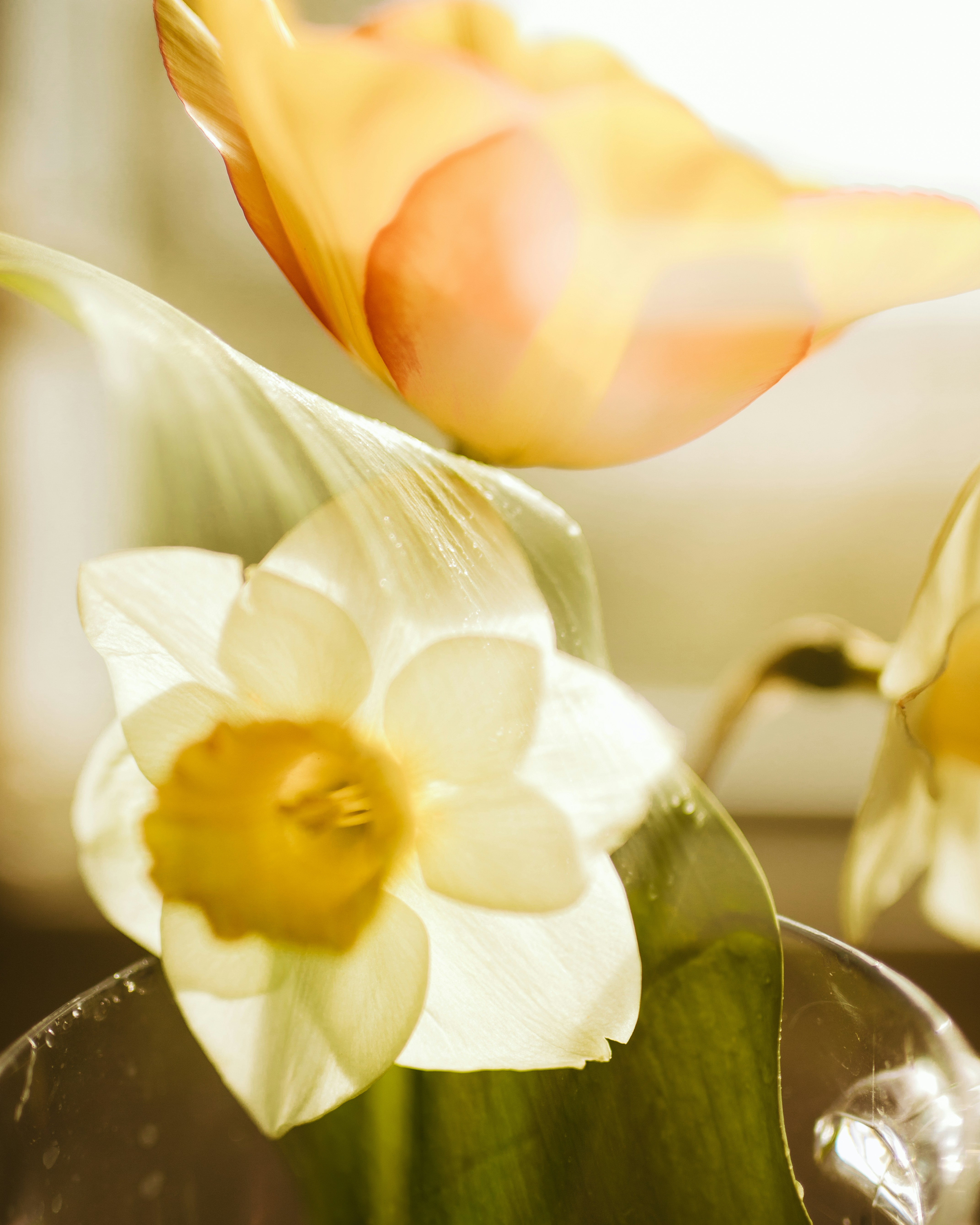 Photo by studiostarling