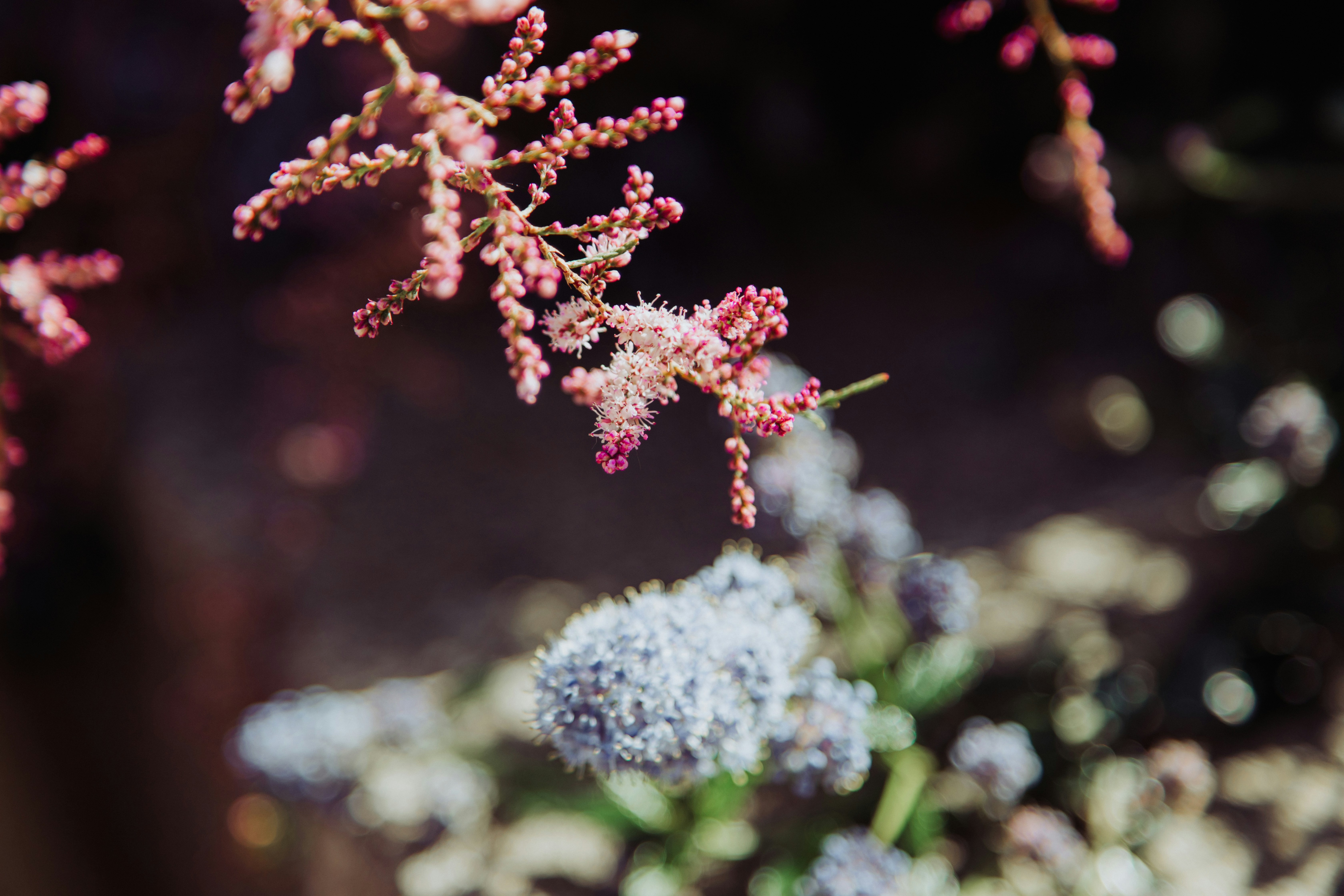 Photo by nicolasjleclercq