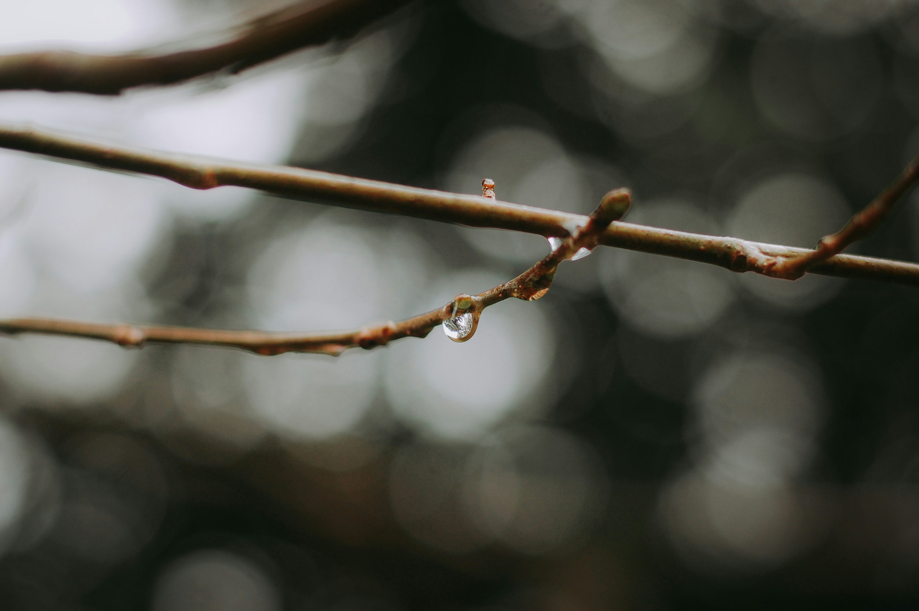 Photo by wilderandrae