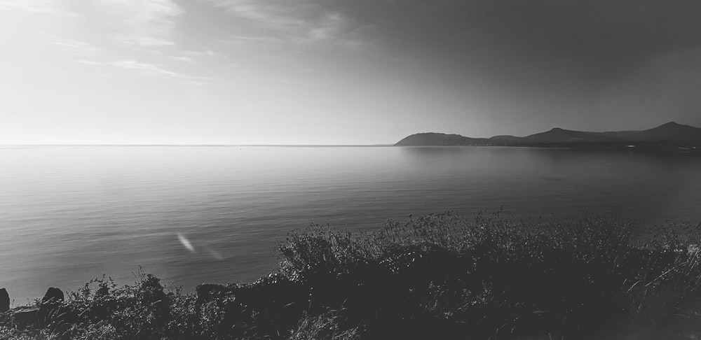 grayscale photo of body of water