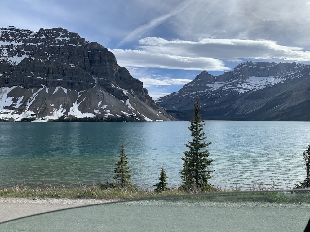 green pine trees near body of water and mountain under blue sky during daytime