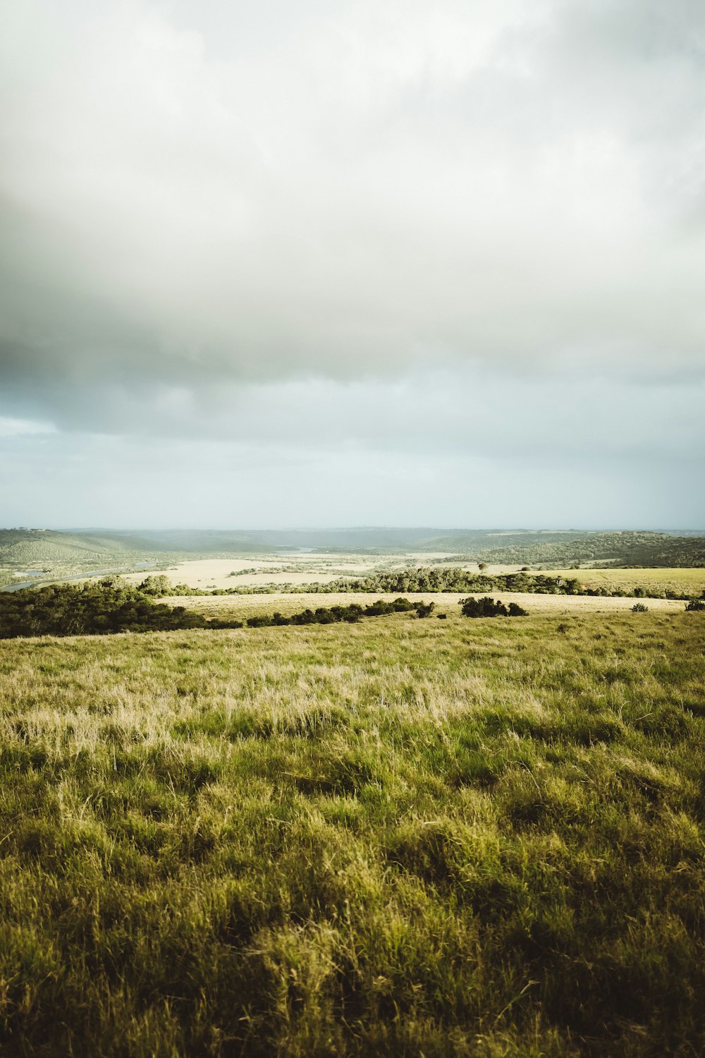 a group of clouds in a grassy field