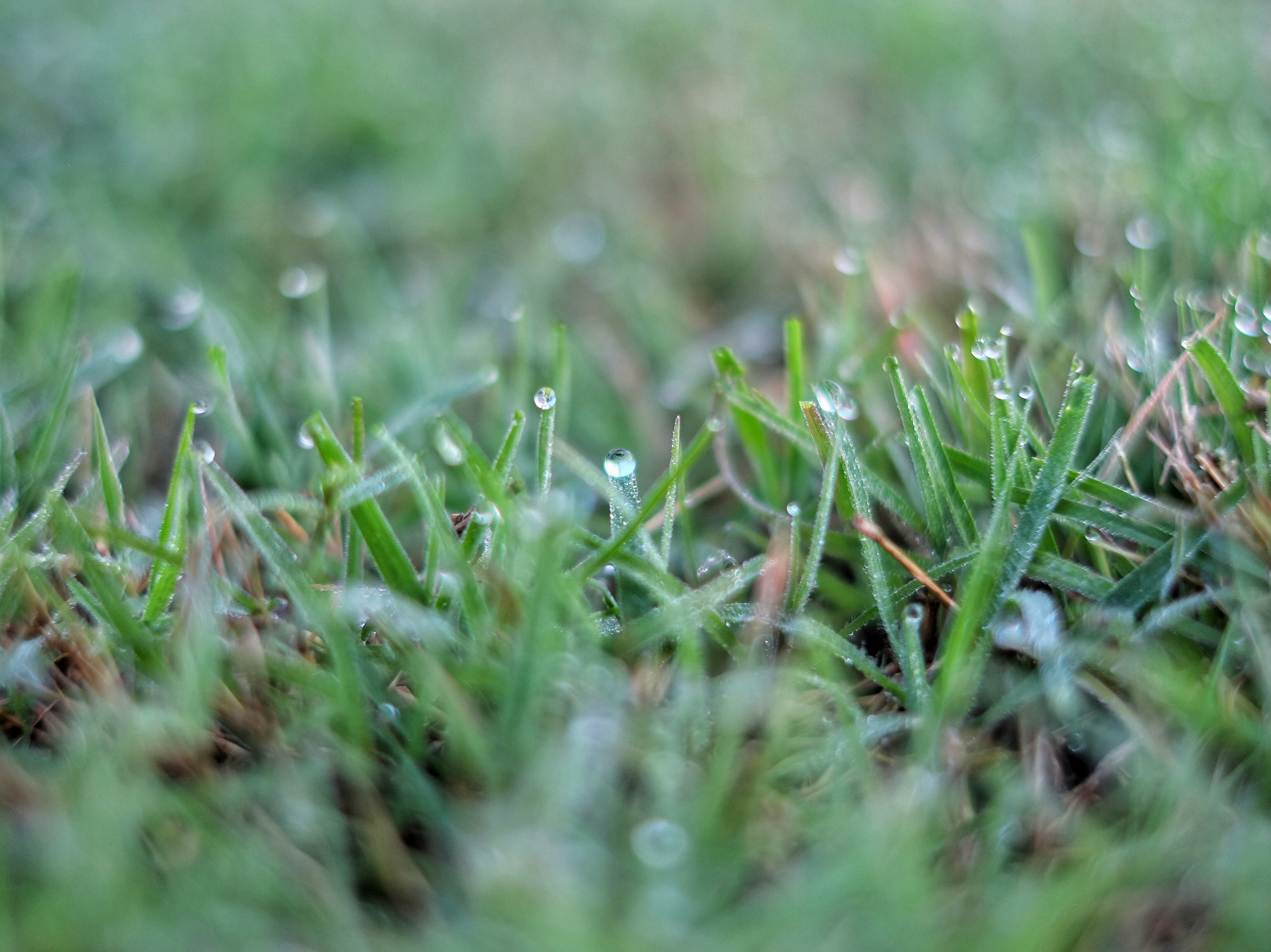 Photo by seventysixstories