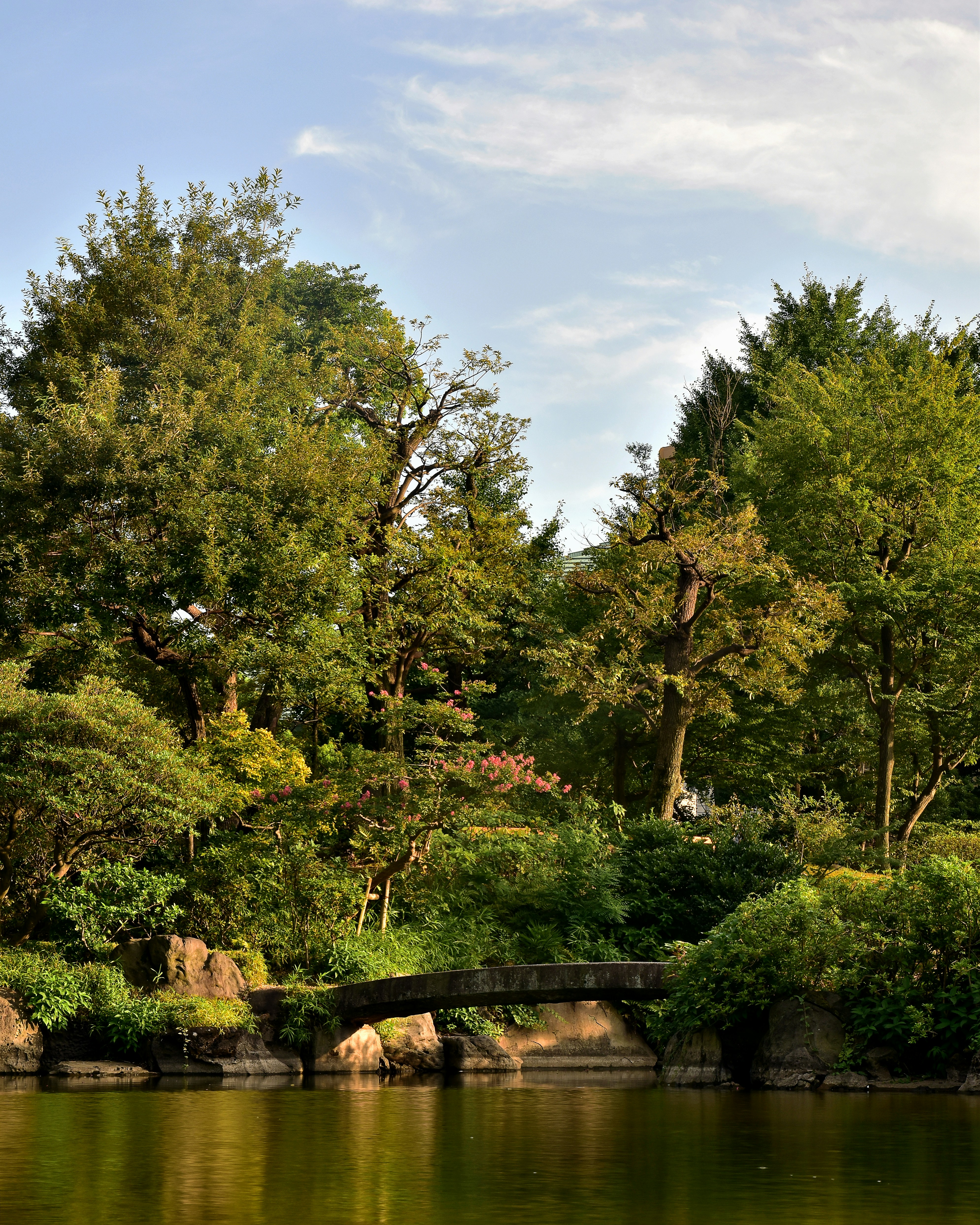 Photo by roberto_j_saldana