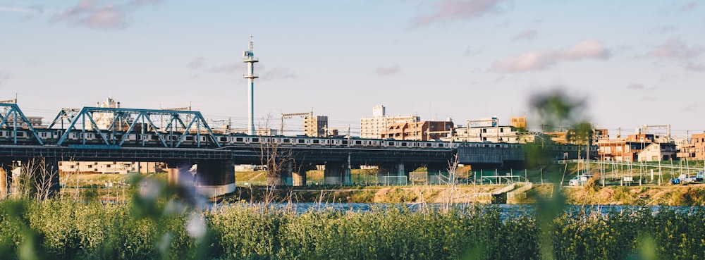 brown and black bridge over river during daytime